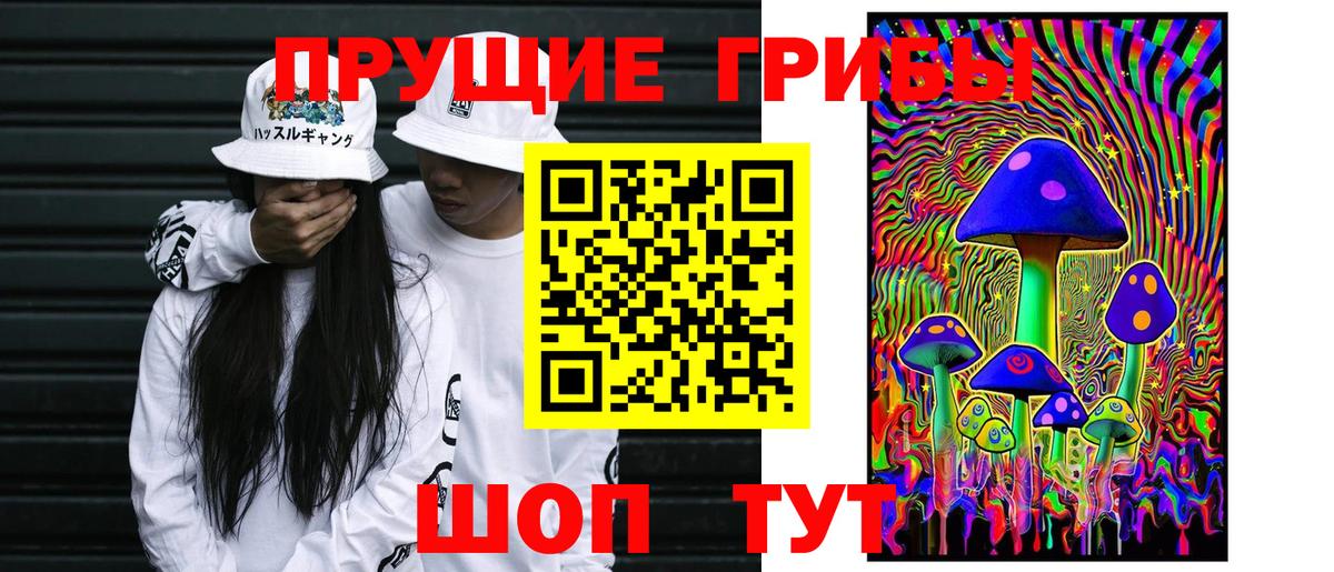 Галлюциногенные грибы Psilocybe  Вход с VPN  Славянск-на-Кубани 
